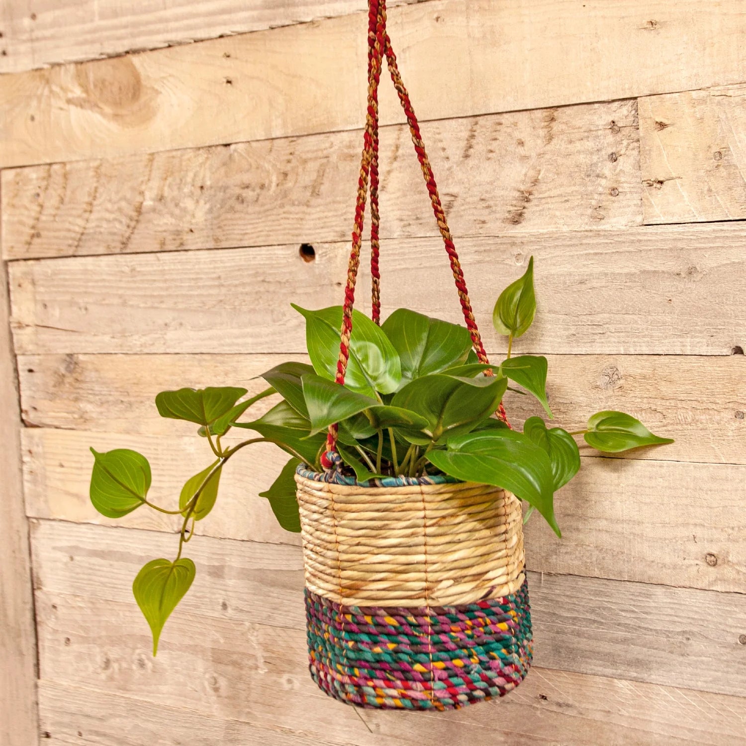 Artisan Hand Made Indoor Outdoor Plant Hanging Basket Wildlife World Fair Trade
