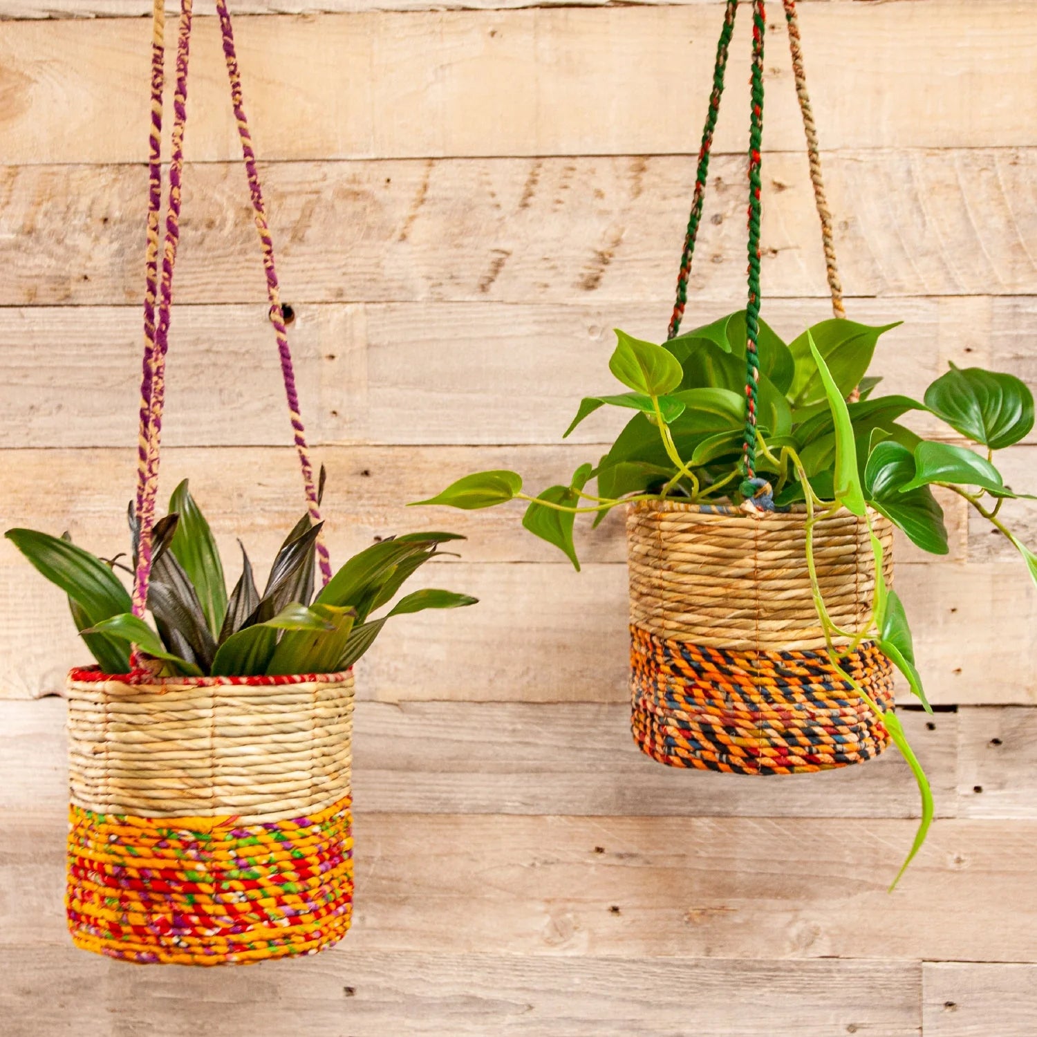 Artisan Hand Made Indoor Outdoor Plant Hanging Basket Wildlife World
