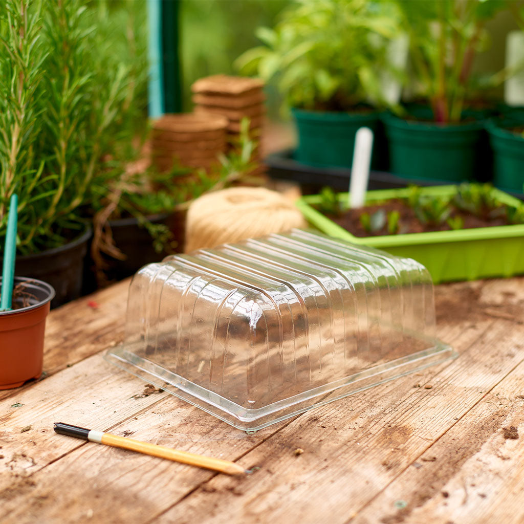 Clear Plastic Lid For Half Size Seed Trays by Gardman