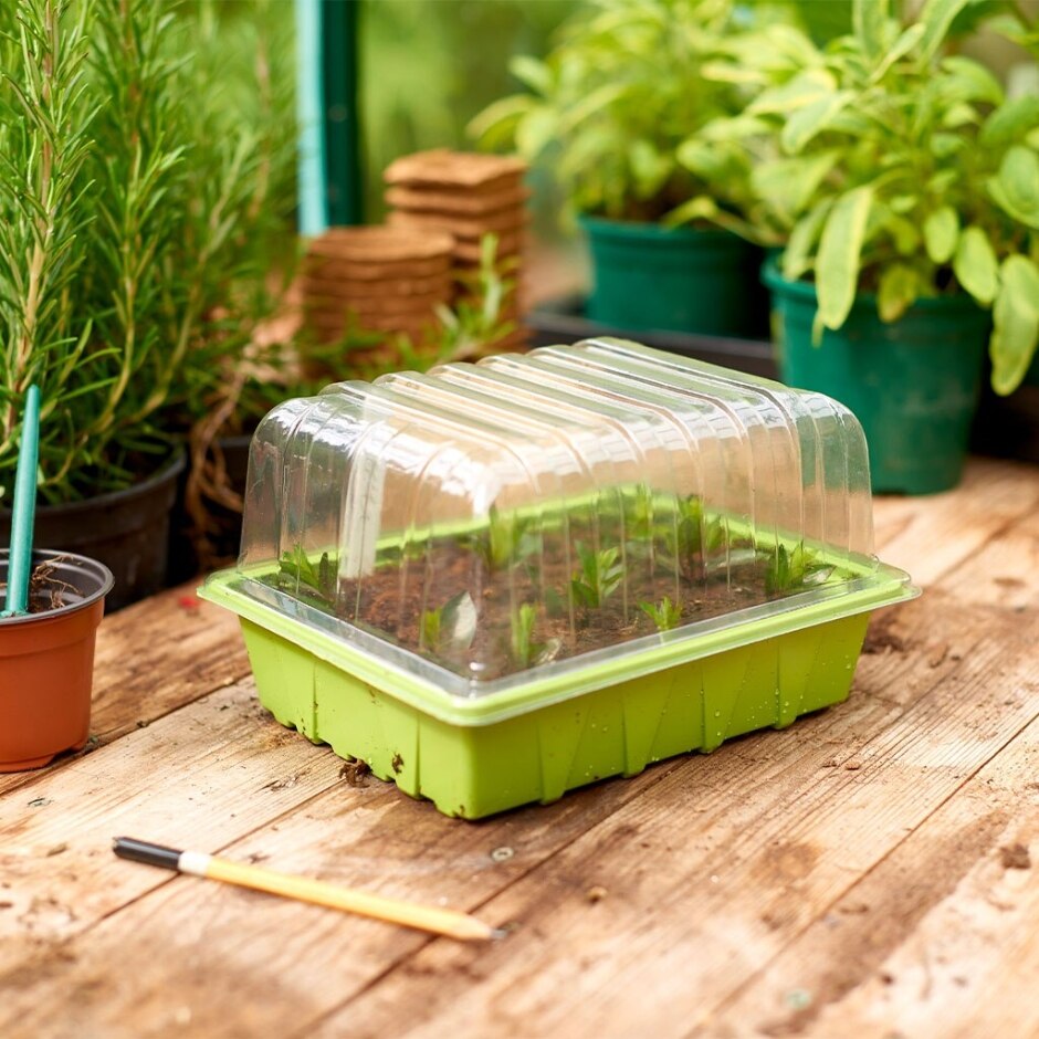 Half Sized Seed Trays and Lid