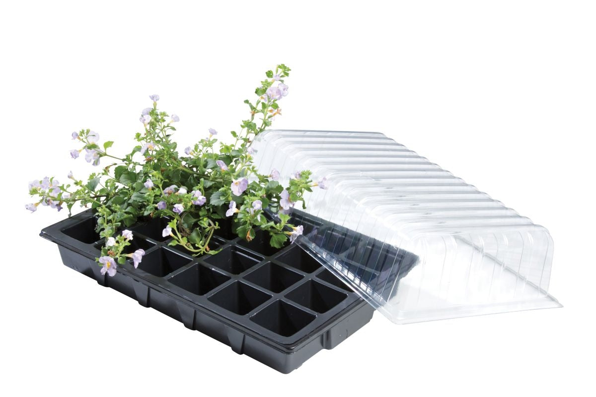 Seed Tray Propagator With 24 Cell Insert and Lid