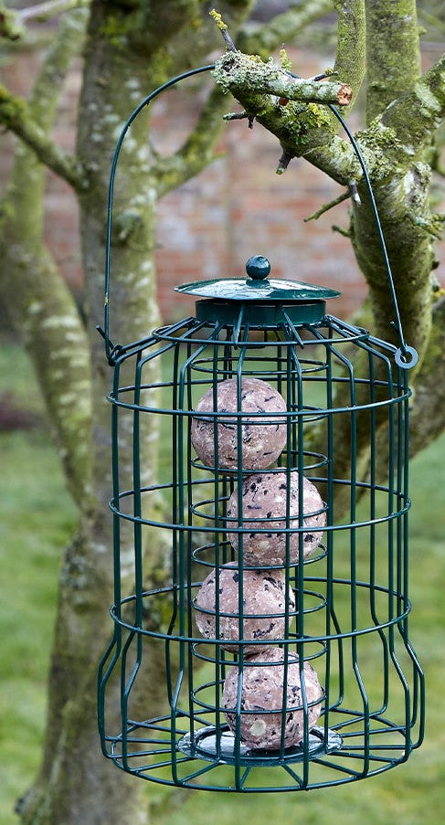 Squirrel Proof Fat Ball Snax Garden Bird Feeder
