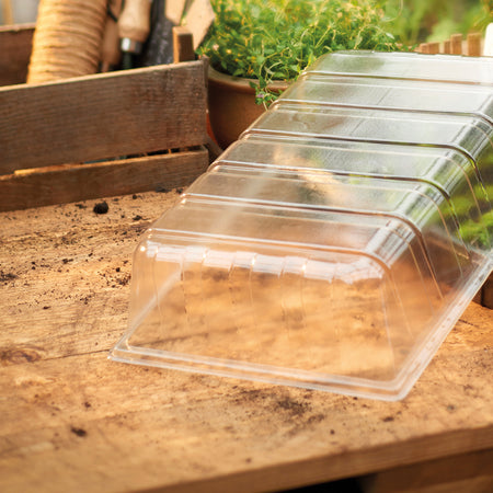 Standard Seed Tray Clear Plastic Lid