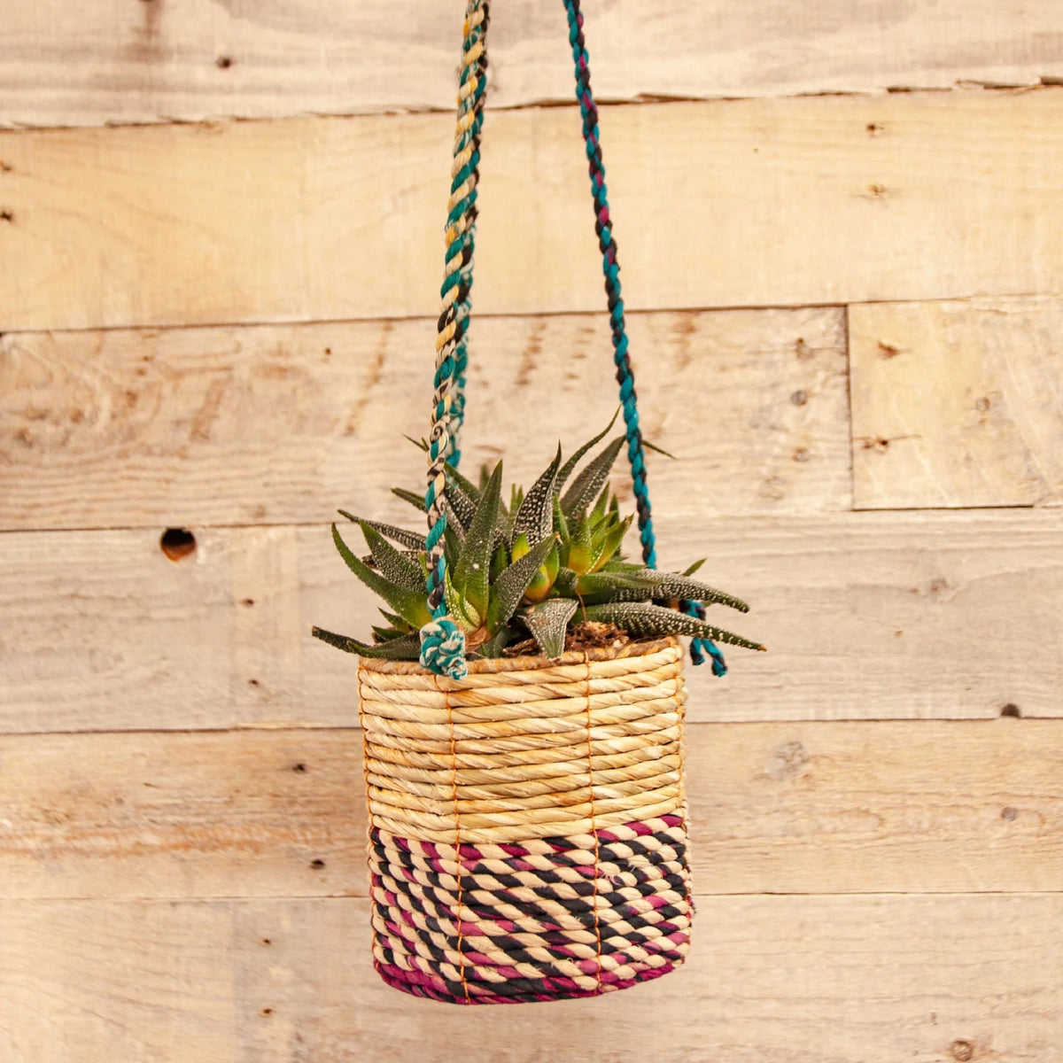 Artisan Hand Made Indoor Outdoor Plant Hanging Basket Wildlife World Fair Trade