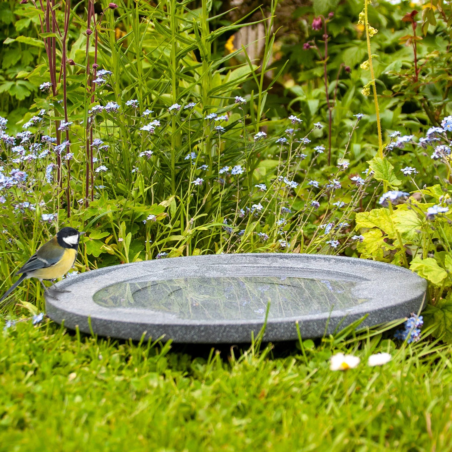 Wildlife World Garden Bird Bath and Drinker