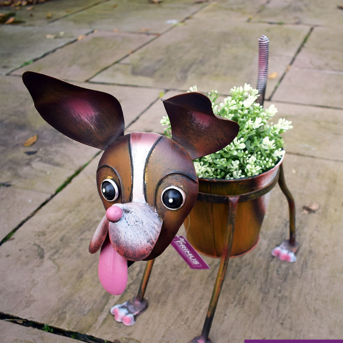 Primus Nodding Dog Metal Pot Plant Planter