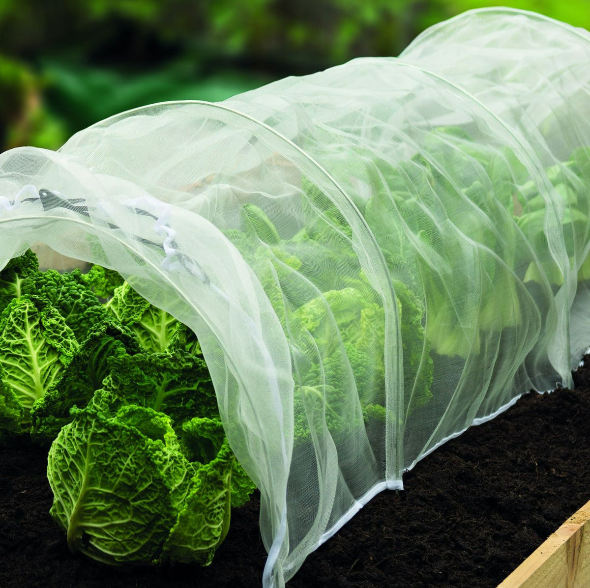 Grow It 6m Insectgard Protective Mesh