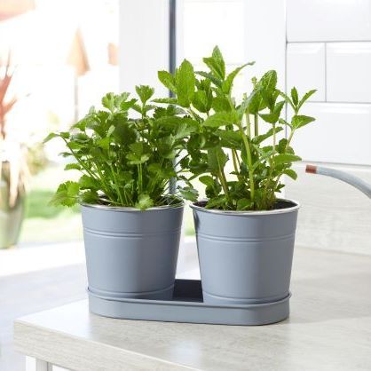 Smart Garden 1 Litre Herb Pots - 2 Metal Pots & Tray
