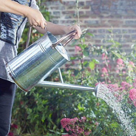 Smart Garden Watering Can 9l / 2 Gallonsgalvanised Steel