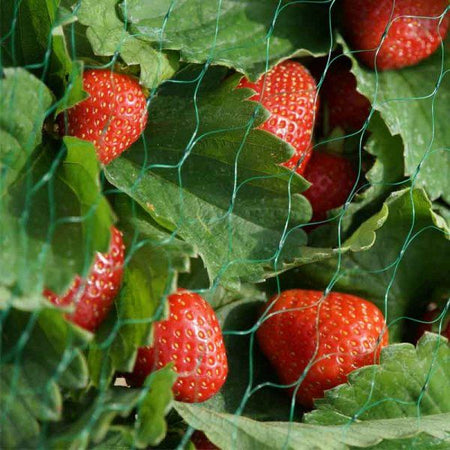 Smart Garden Fruit And Vegetable Garden Netting 15mm Mesh 10m X 2m